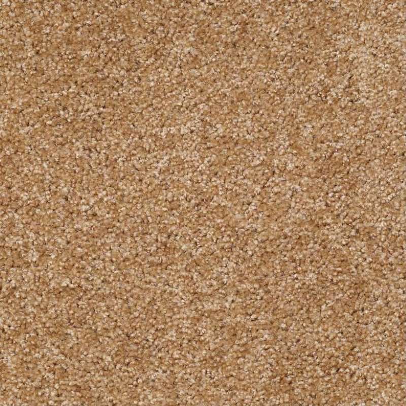 Shaw Floors - Energize - Sisal