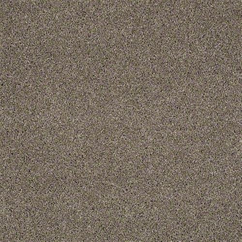 Shaw Floors - Pashima I - Arctic Frost